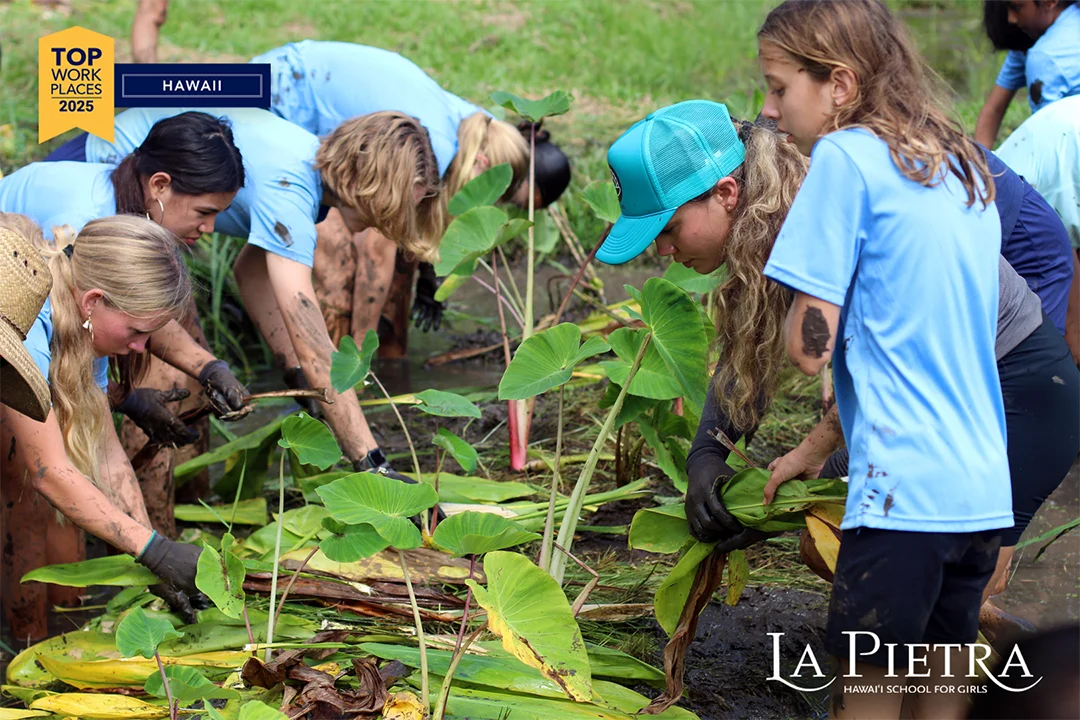 Lp Topworkplaces2 Web 2.webp