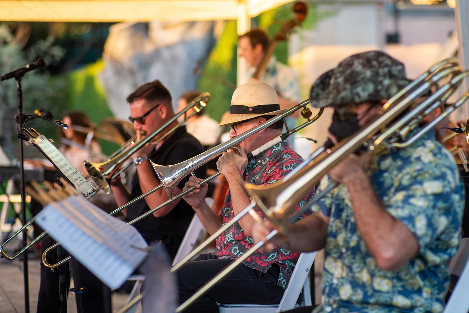 Lp Jazz Nights  28 Web.webp